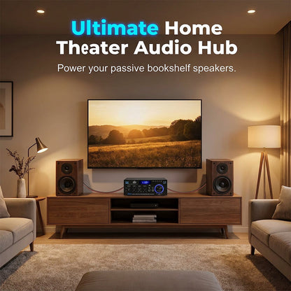 ⏳Time-Limited Special⏰Digital Amplifier for Karaoke and Music