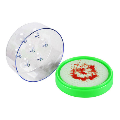 🪰⚡Reusable Non-Electric Fly Trap