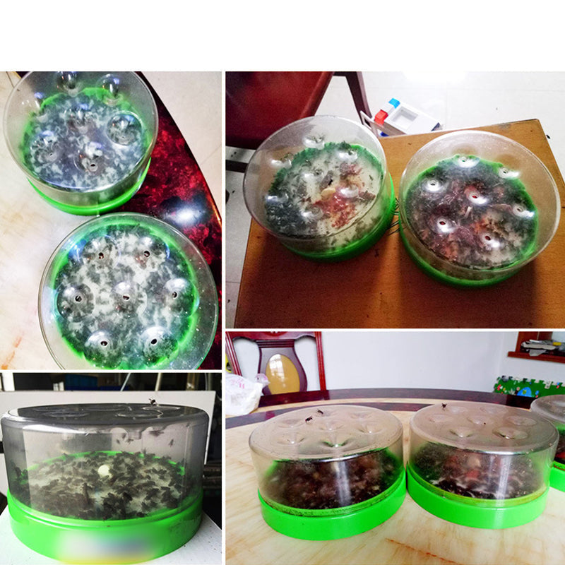 🪰⚡Reusable Non-Electric Fly Trap